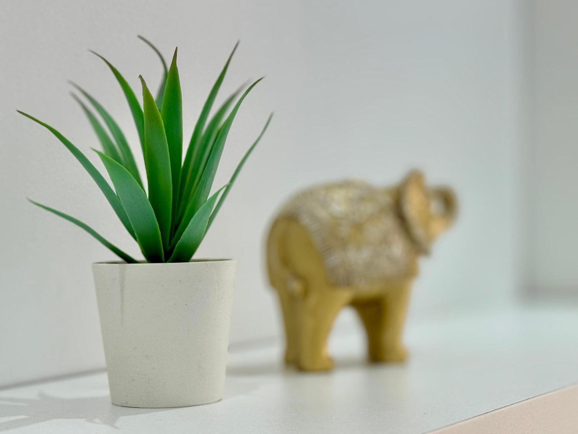 Apartamento Sweet Capuchinos Màlaga Exteriér fotografie